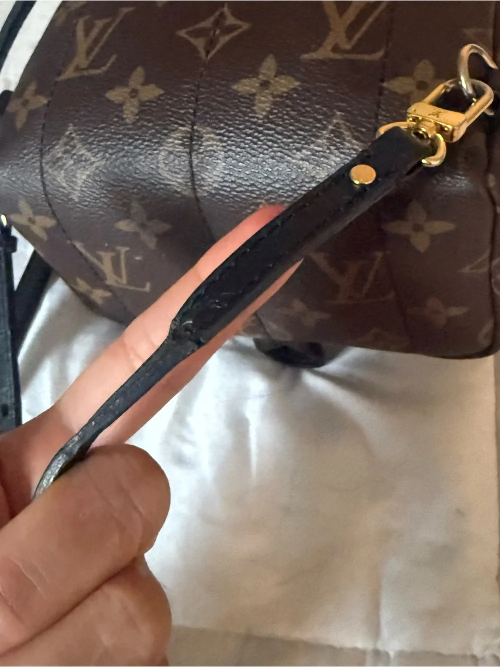 Louis Vuitton beautiful louis